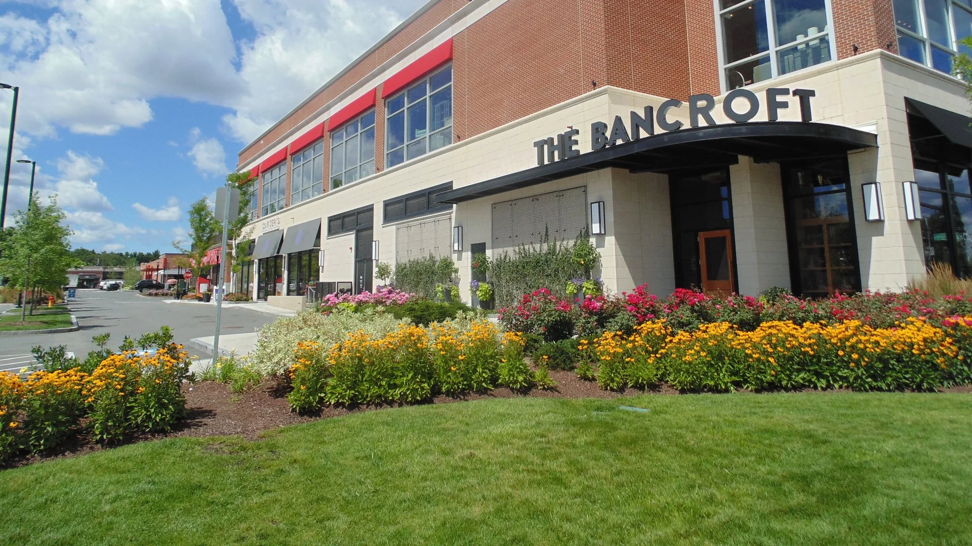 Questions to Ask During a Commercial Landscape Design Consultation