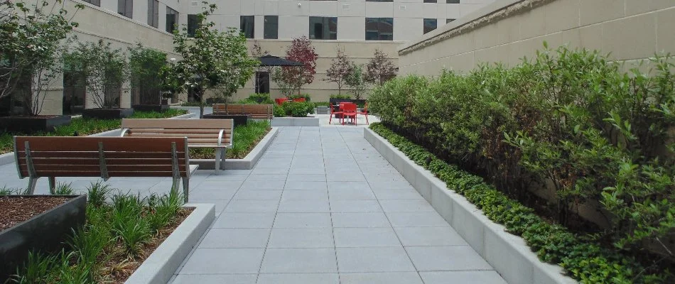 Walkways, benches, and landscaping on a commercial property in Boston, MA.