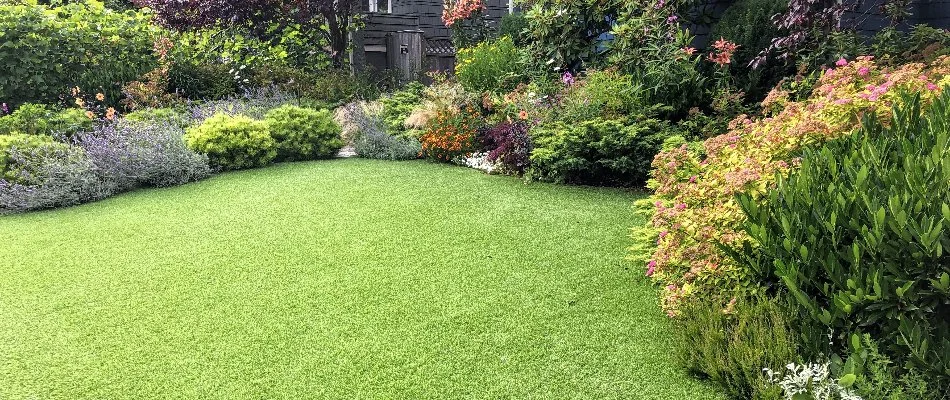 Property in Boston, MA, with artificial turf next to plants. 