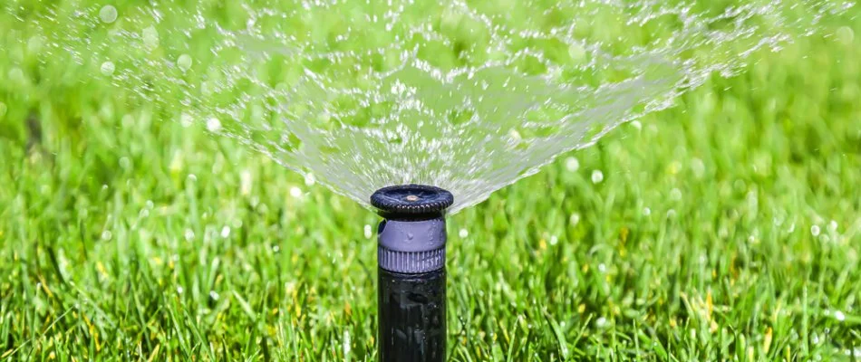 Sprinkler head spraying water on a lawn in Boston, MA.