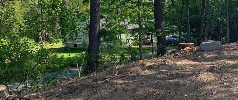 Property cleared of brush in Boston, MA.