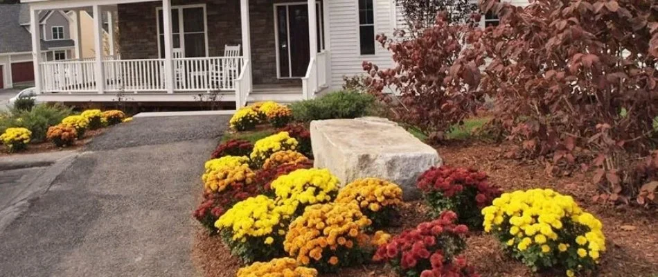 Plants in a landscape bed on a property in Boston, MA.
