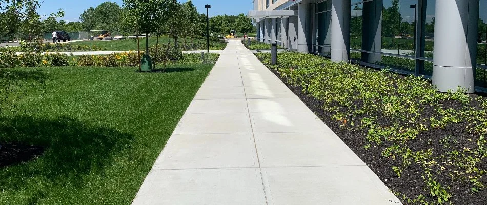 Commercial walkway lined with landscaping and a lawn in Boston, MA.
