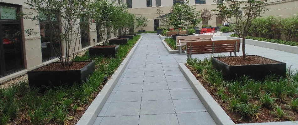 Courtyard in Quincy, MA, with a walkway and landscape beds.