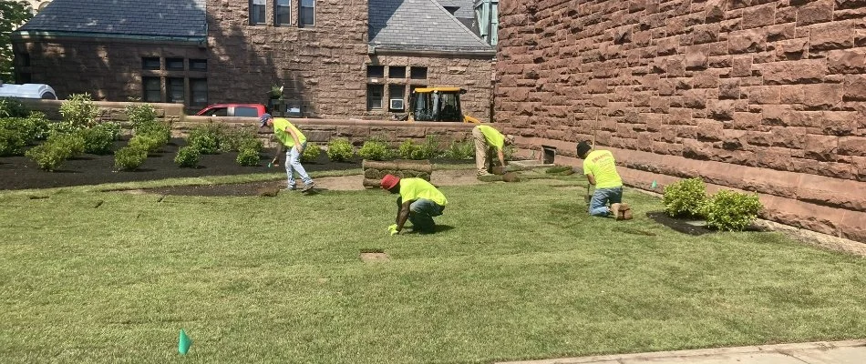 Workers laying new sod in landscaped area in Boston, MA