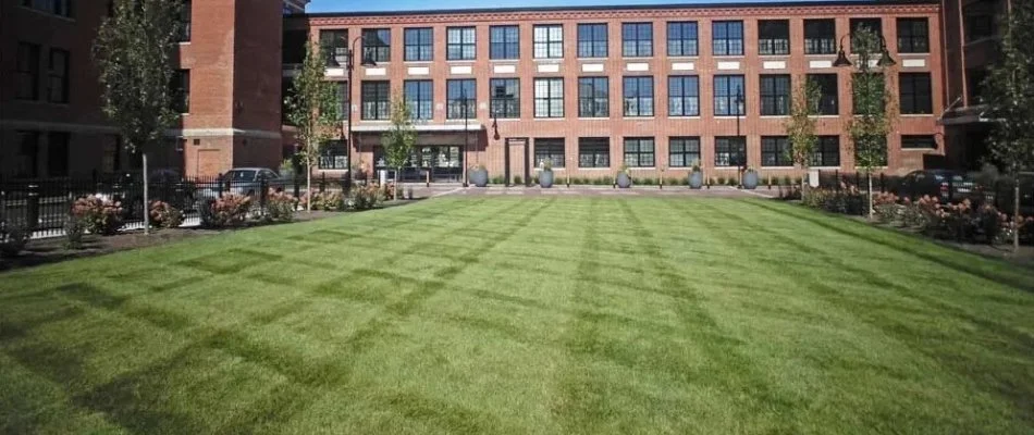 Grass with mowing stripes on commercial property in Boston, MA.
