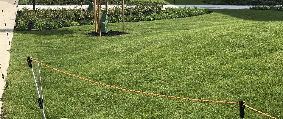 Healthy, green grass in Lynn, MA, with a rope fence.