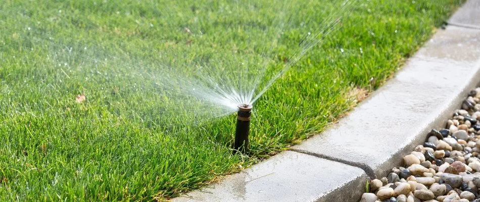 Sprinkler head next to curb spraying water on lawn in Boston, MA.