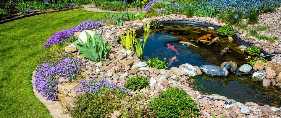 Koi pond with fish in a yard.