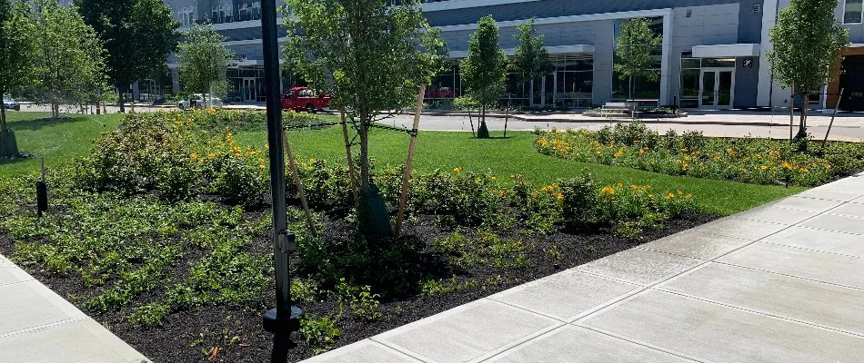Landscape beds and grass along a concrete walkway.