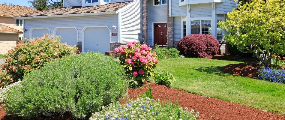 Spring landscape on a residential property in Boston, MA.