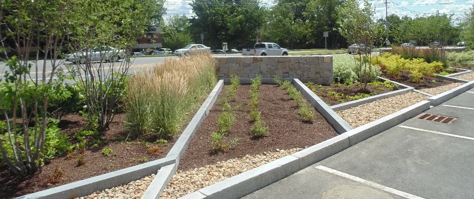 Commercial property in Boston, MA, with landscape beds and plants.