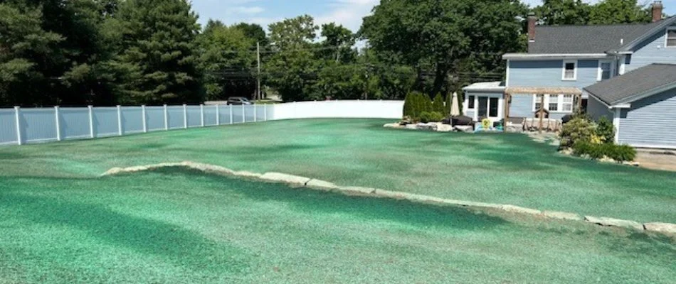 Lawn in Marlborough, MA, after hydroseeding.