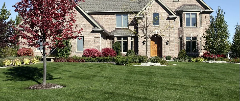 Lawn with freshly mowed grass in the fall.