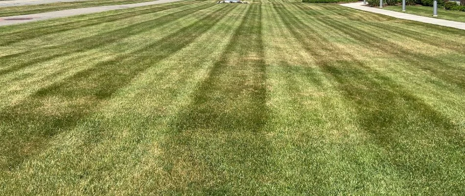 Neat lawn in Worcester, MA, with mowing patterns.