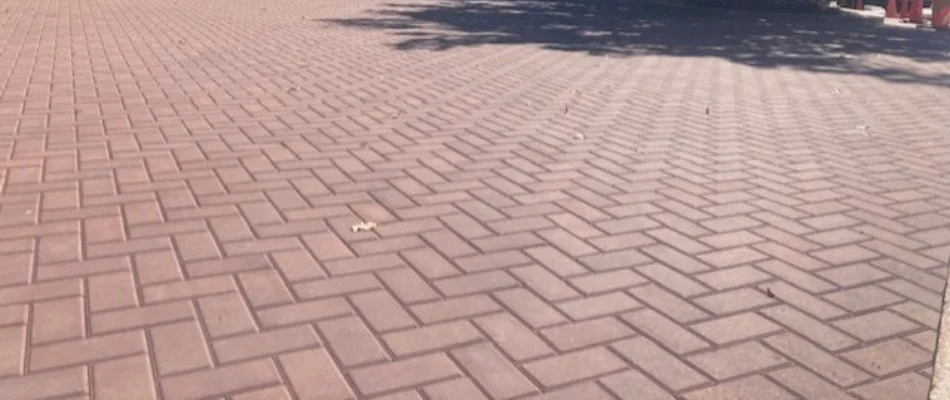 Pavers installed in herringbone pattern for a patio in Boston, MA.