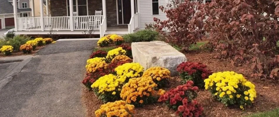 Landscape bed with colorful plants on a property in Boston, MA.