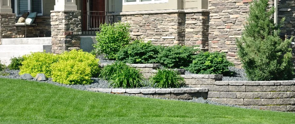 Retaining wall with plants.
