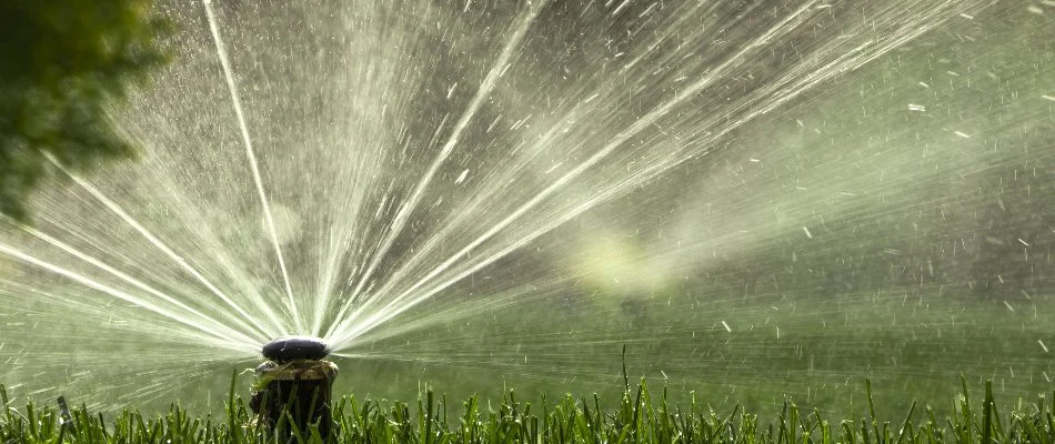 Running sprinkler head on a lawn in Brockton, MA.
