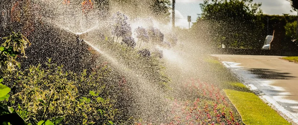 Running sprinklers in a landscape bed in Lynn, MA.