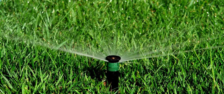Sprinkler head spraying water on grass in Worcester, MA.
