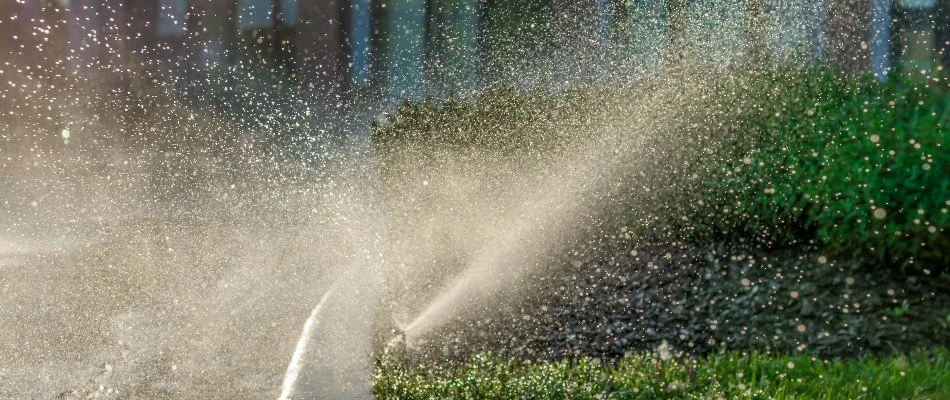Sprinkler head spraying water on a landscape in Boston, MA.