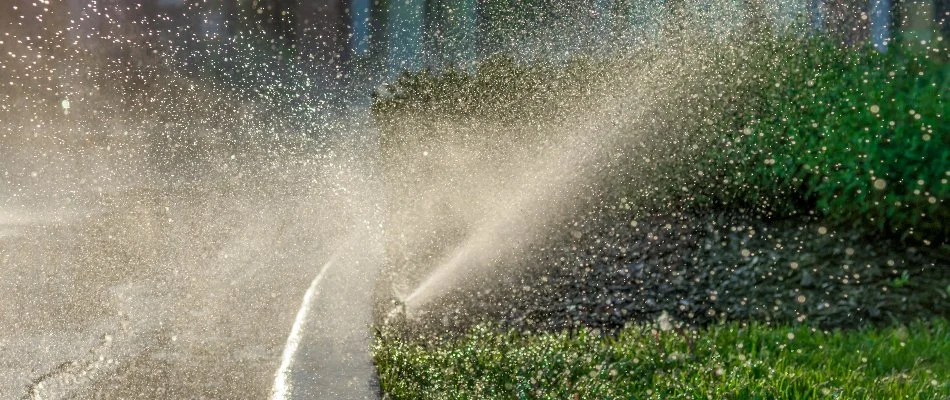 Sprinkler spraying water on vegetation in Nashua, NH.