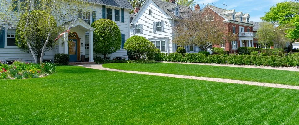 Vibrant grass and walkway in a front yard in Boston, MA.