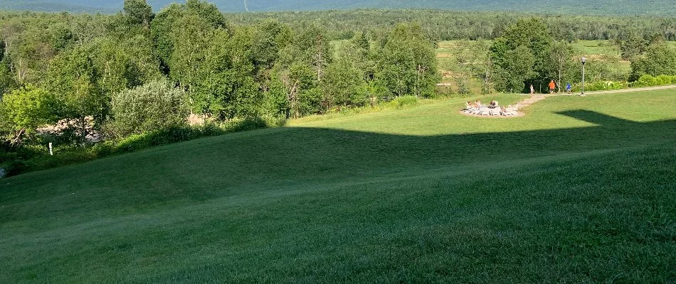 Wide green grass and thick trees in Brockton, MA.