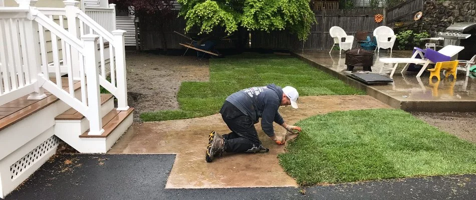 Worker laying sod along a walkway in Quincy, MA.