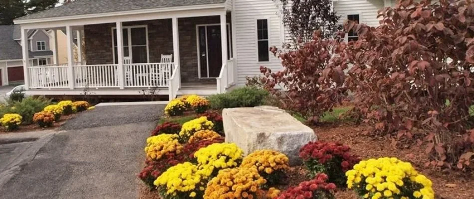 Colorful flowers in front of a house in Boston, MA.