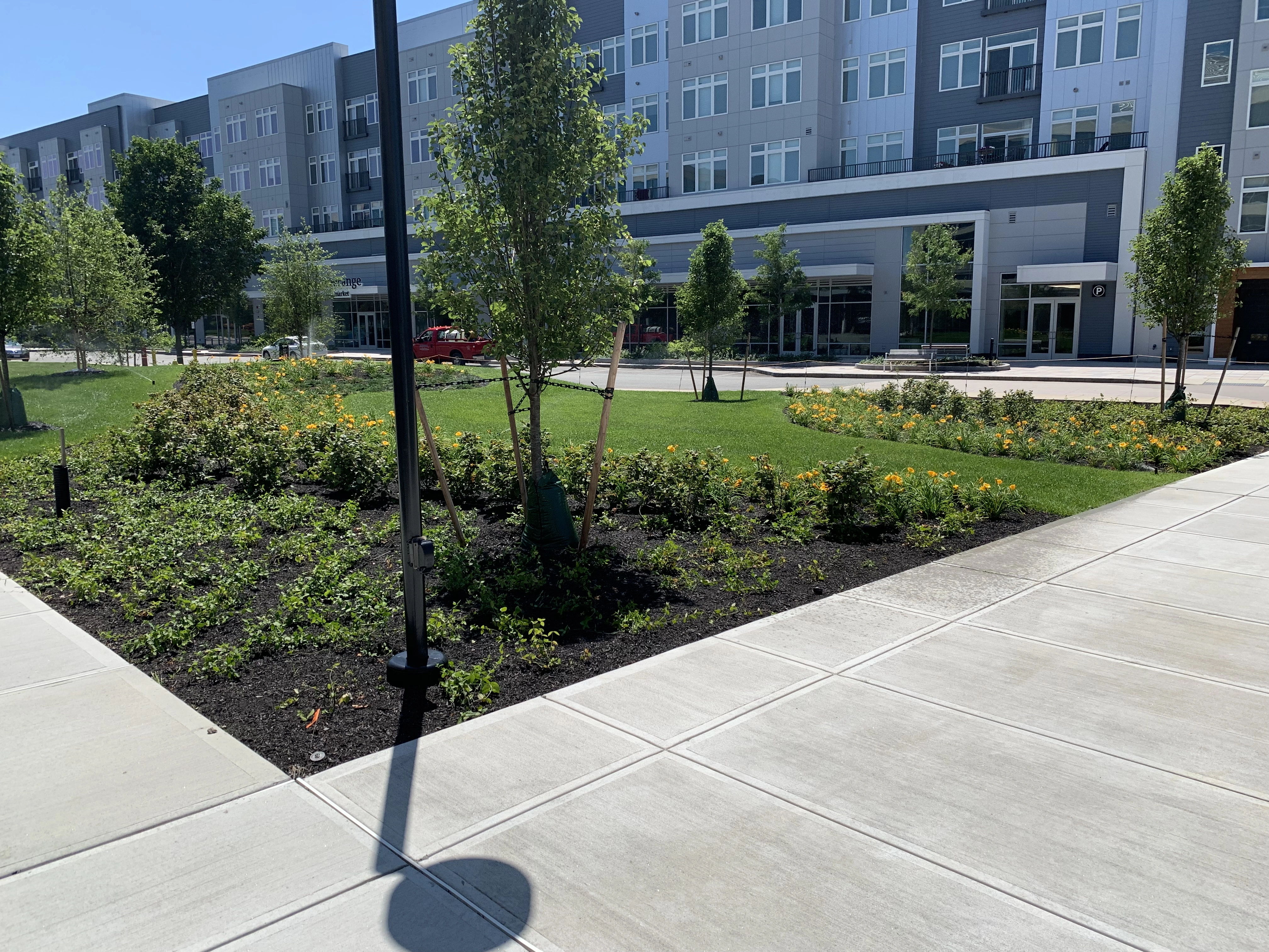 Modern building with landscaped green area in Boston, MA.
